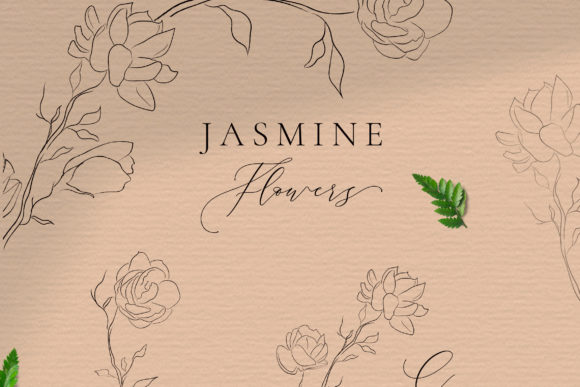Jasmine Flowers Line Art Elements: Bloom and Elegant Floral Frames