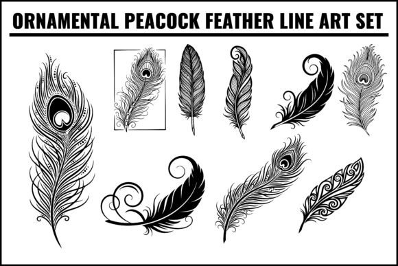 Ornamental Peacock Feather Line Art Set: A Designer's Guide