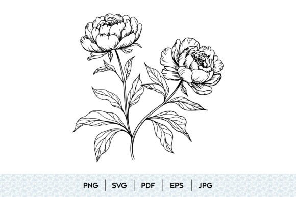 Peony Flower SVG Bundle: Your Go-To Floral Design Toolkit