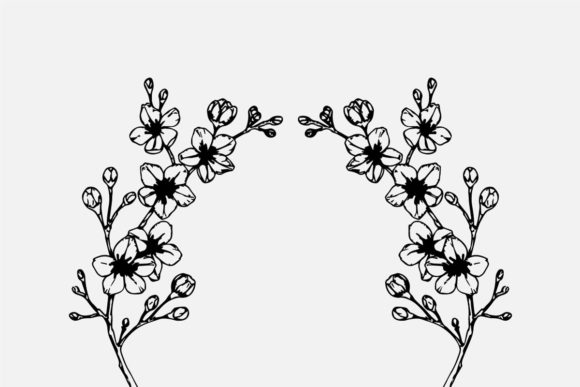 The Art of Hand Drawing Cherry Blossom Branch