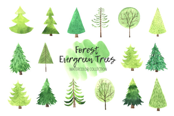 Watercolor Evergreen Trees Set: Nature-Inspired Design Assets